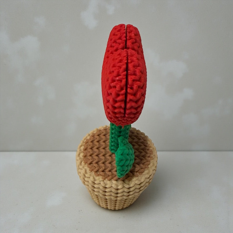 Knitted Heart Mini Photo Decor